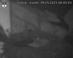 Capi_Dubne_20250509_000503.jpg