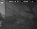 Capi_Dubne_20250509_001002.jpg