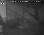 Capi_Dubne_20250509_001503.jpg