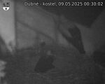 Capi_Dubne_20250509_003002.jpg