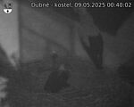 Capi_Dubne_20250509_004002.jpg