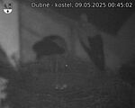 Capi_Dubne_20250509_004502.jpg