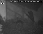 Capi_Dubne_20250509_010002.jpg