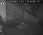Capi_Dubne_20250509_013002.jpg