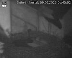 Capi_Dubne_20250509_014502.jpg