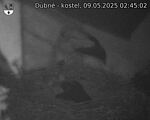 Capi_Dubne_20250509_024502.jpg