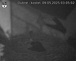Capi_Dubne_20250509_030502.jpg