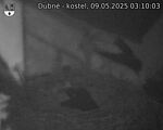 Capi_Dubne_20250509_031003.jpg