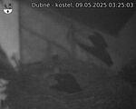 Capi_Dubne_20250509_032503.jpg