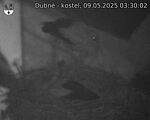 Capi_Dubne_20250509_033002.jpg