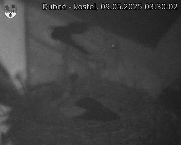 Capi_Dubne_20250509_033002.jpg (1350 x 1080)