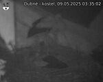 Capi_Dubne_20250509_033502.jpg