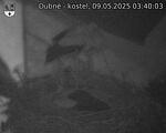 Capi_Dubne_20250509_034003.jpg