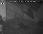 Capi_Dubne_20250509_041502.jpg