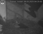Capi_Dubne_20250509_043502.jpg
