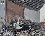 Capi_Dubne_20250509_065004.jpg