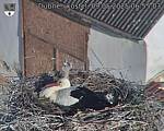 Capi_Dubne_20250509_065503.jpg