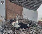 Capi_Dubne_20250509_070002.jpg