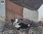 Capi_Dubne_20250509_071502.jpg
