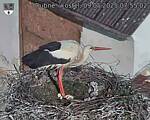 Capi_Dubne_20250509_075502.jpg