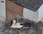 Capi_Dubne_20250509_080504.jpg