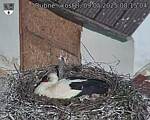 Capi_Dubne_20250509_081504.jpg