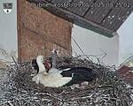 Capi_Dubne_20250509_082502.jpg