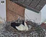 Capi_Dubne_20250509_083504.jpg