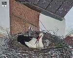 Capi_Dubne_20250509_084002.jpg