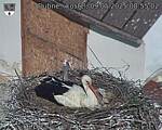 Capi_Dubne_20250509_085502.jpg