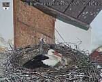 Capi_Dubne_20250509_091002.jpg