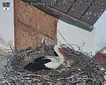 Capi_Dubne_20250509_091504.jpg