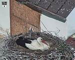 Capi_Dubne_20250509_093002.jpg
