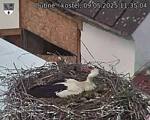 Capi_Dubne_20250509_113504.jpg