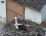 Capi_Dubne_20250509_115004.jpg