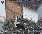 Capi_Dubne_20250509_115502.jpg