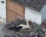 Capi_Dubne_20250509_124002.jpg
