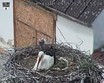 Capi_Dubne_20250509_125004.jpg