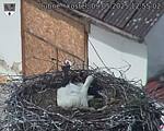 Capi_Dubne_20250509_125502.jpg