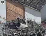 Capi_Dubne_20250509_135002.jpg