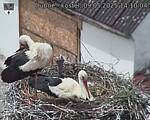 Capi_Dubne_20250509_141004.jpg