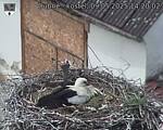 Capi_Dubne_20250509_142002.jpg