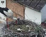 Capi_Dubne_20250509_145002.jpg