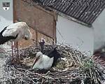 Capi_Dubne_20250509_151503.jpg