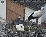 Capi_Dubne_20250509_154004.jpg
