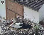 Capi_Dubne_20250509_161502.jpg