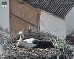 Capi_Dubne_20250509_162004.jpg