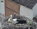 Capi_Dubne_20250509_162502.jpg