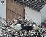 Capi_Dubne_20250509_163004.jpg