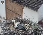 Capi_Dubne_20250509_163504.jpg